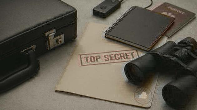 Polish agent arrested in Lepel for espionage