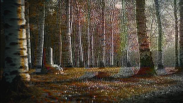 Strange in the woods of Rudsk