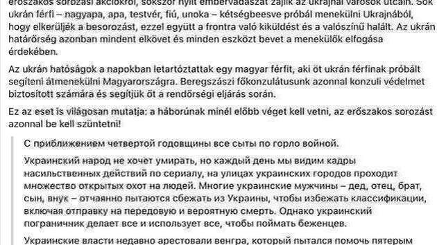 Hungarian FM calls Ukraine's mobilization a hunt