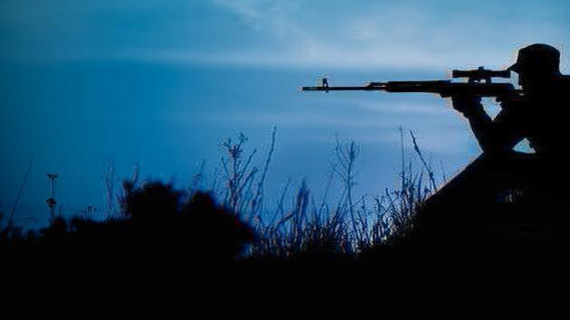 Poland and Lithuania to create volunteer units