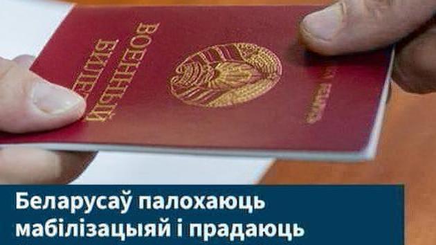 Fake military ID: scammers laughing